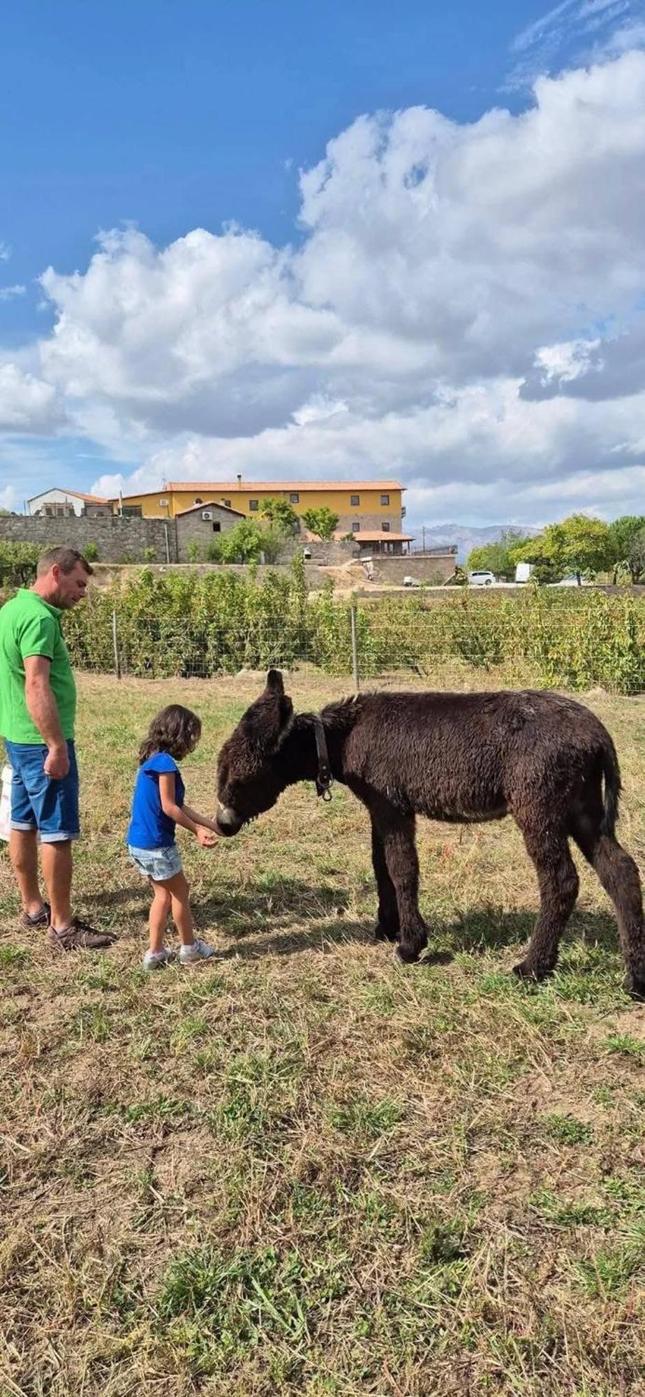 Quinta Do Limite - Casa Do Campones Villa Covilhã Eksteriør billede